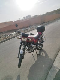 فيوم موديل15 • بدون اوراق • كوت