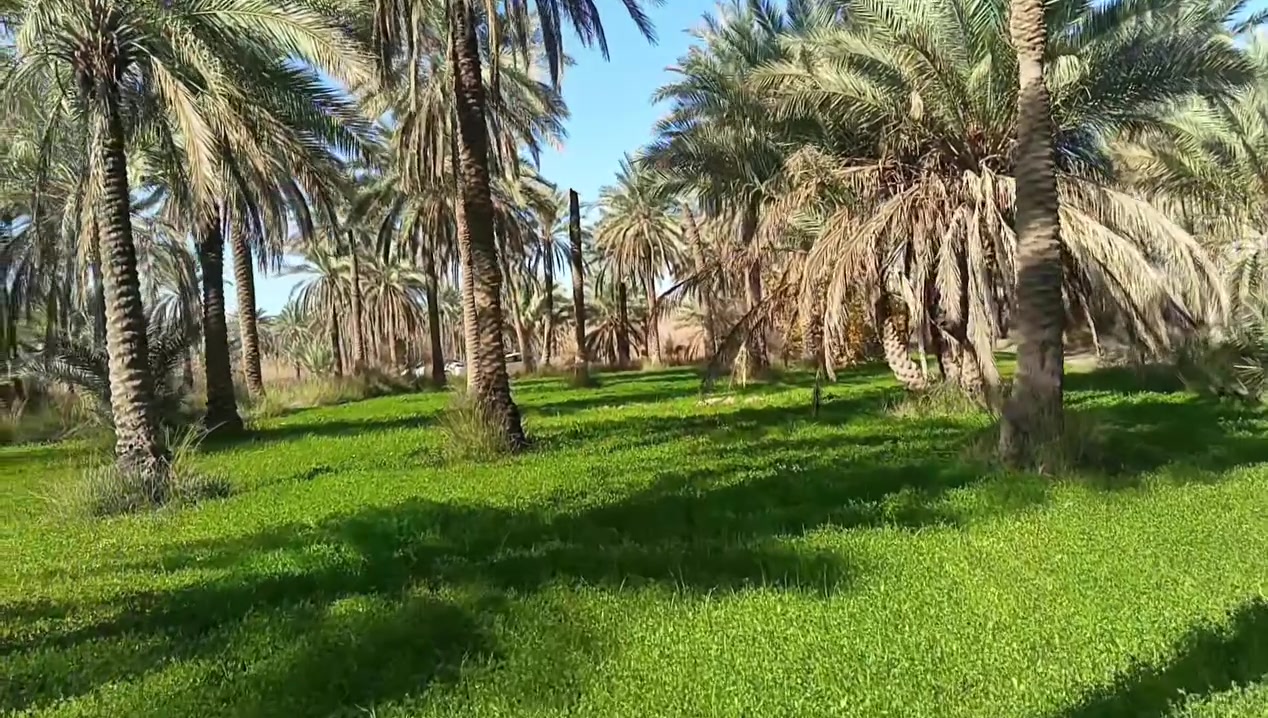 السلام عليكم ورحمه الله وبركاته.      في كربلاء 
بستان للبيع مساحه.    ٥. دونم طابو زراعي سند ٢٥ تحويل اسهم واجهه على الطريق الفرعي أكثر من ١٤٠ م 
العنوان كربلاء قضاء الحسينية منطقة الصلاميه 
السعر.         ٨٥.  مليون 
وللمزيد من المعلومات الاتصال على الرقم التالي *********** 
او مراجعة مكتب اليقين العقار
