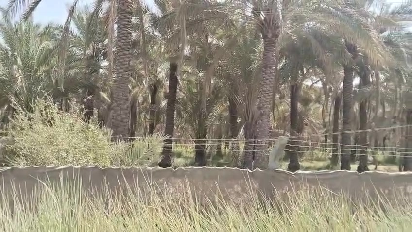 السلام عليكم  يوجد لدينا للبيع في كربلاء منطقة الأمام عون (ع) المساحة  دونمين  طابو سند ٢٥ على طابو الحسينيه  واجهه 53 م  نزال 87 م  البيع حسب المساحه والطلب نصف دونم  او دونم  او  دونمين
كامل خدمات نهر سقي مغلف ) (صب)  الأتصال على صاحب السند مباشر ***********
السلام عليكم  يوجد لدينا للبيع في كربلاء منطقة الأمام عون (ع) المساحة  دونمين  طابو سند ٢٥ على طابو الحسينيه  واجهه 53 م  نزال 87 م  البيع حسب المساحه والطلب نصف دونم  او دونم  او  دونمين
