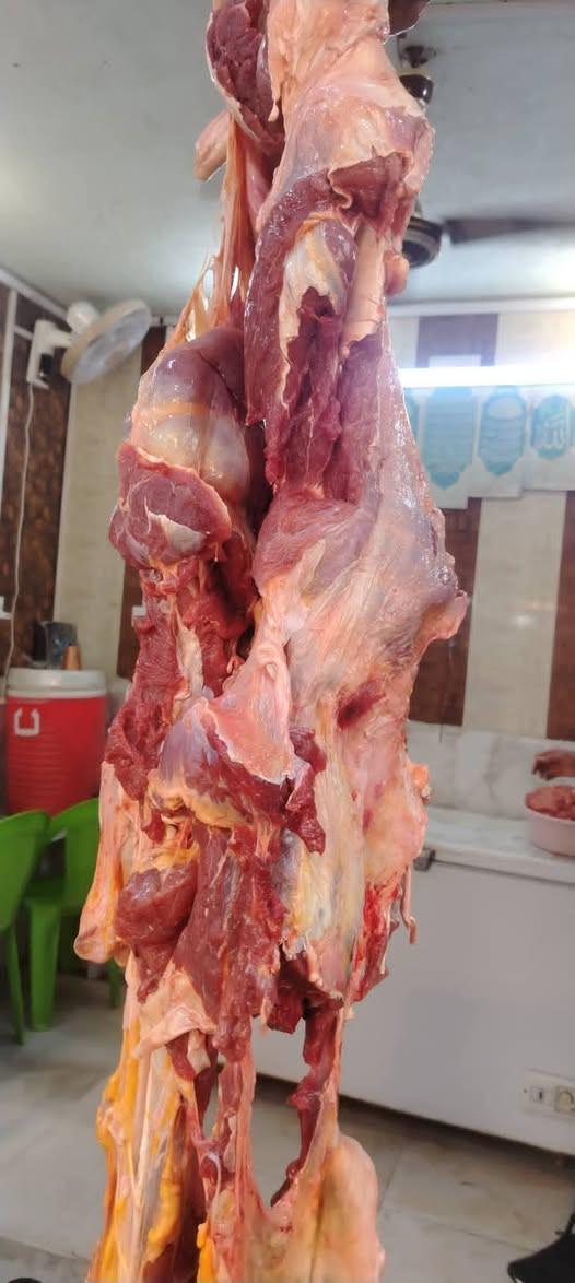 مطعم بركات المنتظر كيلو الكباب 16شيش ب 12,000 توصيل داخل الشطره 1000
***********مطعم بركات المنتظر الشعلة شارع بني زيد
