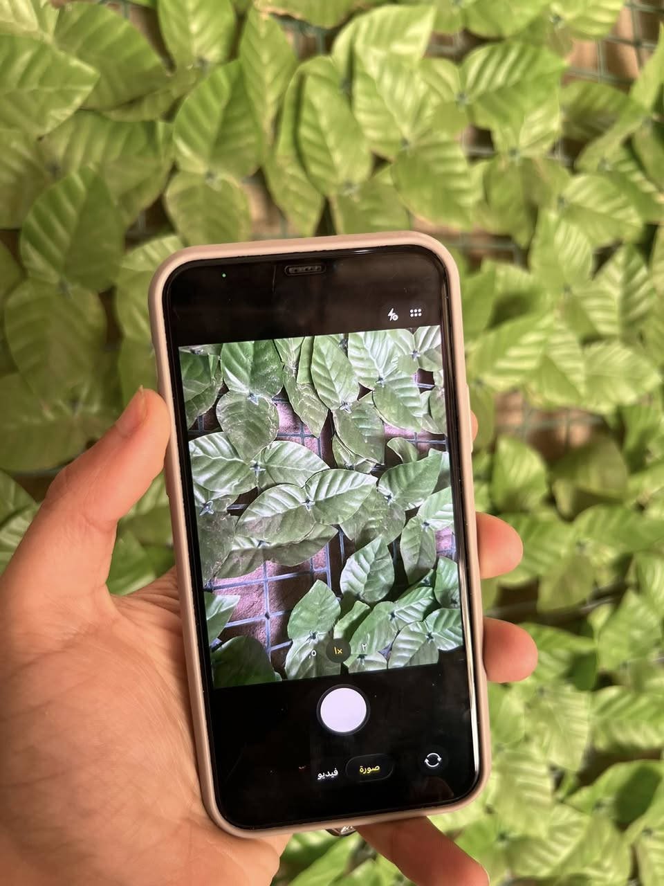 11pro
64
باتري 71
جهاز بلادي ما مبدل ولا قطعه 
كاميرات فول
صوت إستريو
ببجي 60 فريم 

ضهر مفطور 

السعر 210 ألف يرهم مراوس 
مكاني شارع شارع السينما 

هـ***********
