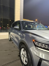 سورنتو وارد • ورقه • قطعه صبغ