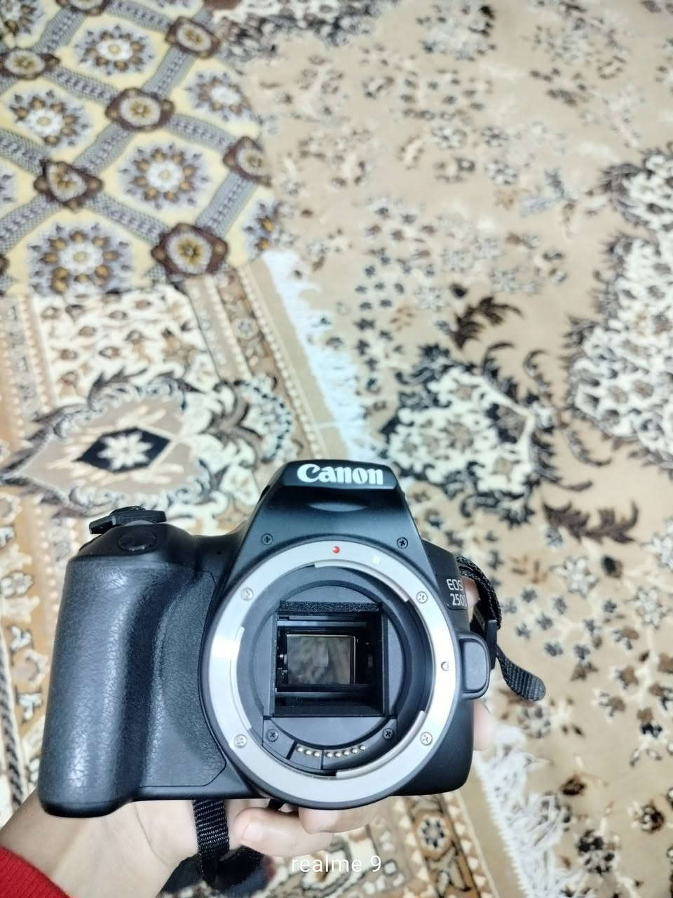 السلام عليكم كانون 250دي كامرة كلش نضيفة نضافة 100/98وياها جميع ملحقاتها عدسة 18-55وياها جنط ثنين وياها مال نقل صور ثنين حزام كتف رام شاحنة كاملة من كلشي الشتر ماعرف بس ماطاك بيه صور هواي 650بيه مجال قليل للشراي مكاني بابل الحلة السياحي 
متواجد خاص


**إذا كنت صاحب هذا الإعلان وتريد حذفه لأي سبب، رجاءا أرسل رسالة إلى الدعم الفني**