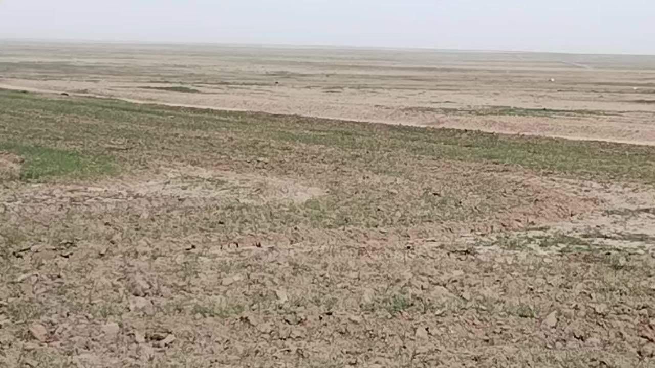 قطعة ارض #للبيع  25 دونم قريبه على الساتر من أتجاه مرشات العجان قريبه على سكة القطار اتصل وتدلل نبيع نقد واقساط للمضبوط فقط
***********
