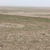 مرشات العجان • ٢٥ دونم • نقد وأقساط