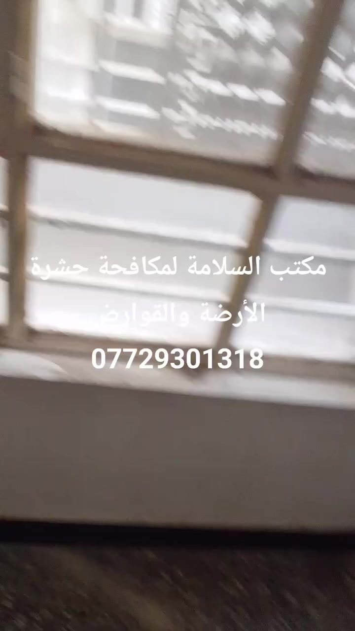 🔴 مكتب السلامة لمكافحة الآفات 🔴***********
هل تعاني من حشرة العِرضة 🐜 أو القوارض 🐀 في المنزل أو المحل؟
نحن الحل الآمن والفعّال 💪
✔️ مكافحة حشرة العِرضة نهائيًا
✔️ القضاء على الفئران والقوارض
✔️ مواد مرخّصة وآمنة على العائلة
✔️ خدمة سريعة وبأسعار مناسبة
✔️ ضمان على العمل
📍 نخدم المنازل، المحلات، المخازن، والمطاعم
📞 اتصل بنا الآن واحصل على بيئة نظيفة وآمنة
🟢 مكتب السلامة… راحتك تبدأ من هنا
#مكافحة_الآفات #حشرة_العرضة #مكافحة_القوارض #السلامة #نظافة_وأمان
