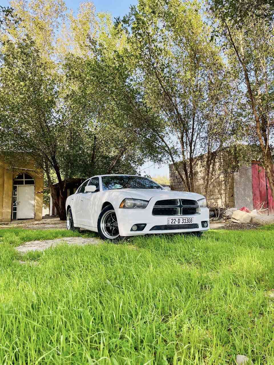 السلام عليكم
جارجر موديل 2011 أمريكي رقم أربيل انكليزي 

بيهااا بنيد فقط بدون إرباك بدون دواخل السيارة كلش حلوه ومرتبه منضومه مال زنون 

السياره جاهزه السعر 133 وبيهااا مجال 

العنوان بابل شوملي 

الانتصال ولا ستفسار 

***********
