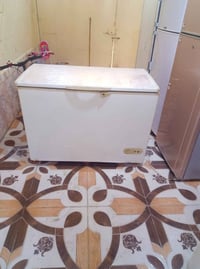 مجمدة • شغالة • البصرة القبلة