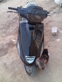 للبيع • تفاصيل خاص • المشخاب