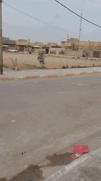 حي النتفاضه • ٢٥٠م • قطعة أرض