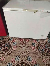 مجمدة • للبيع • سعر خاص