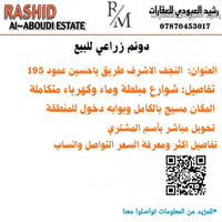 النجف الأشرف • طريق ياحسين • عمود ١٩٥