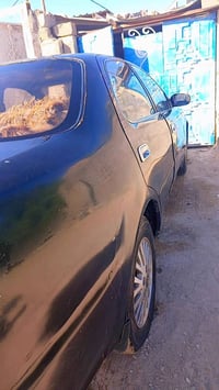 ١٩٩١ • ٤٠ ورقه • بصره زبير