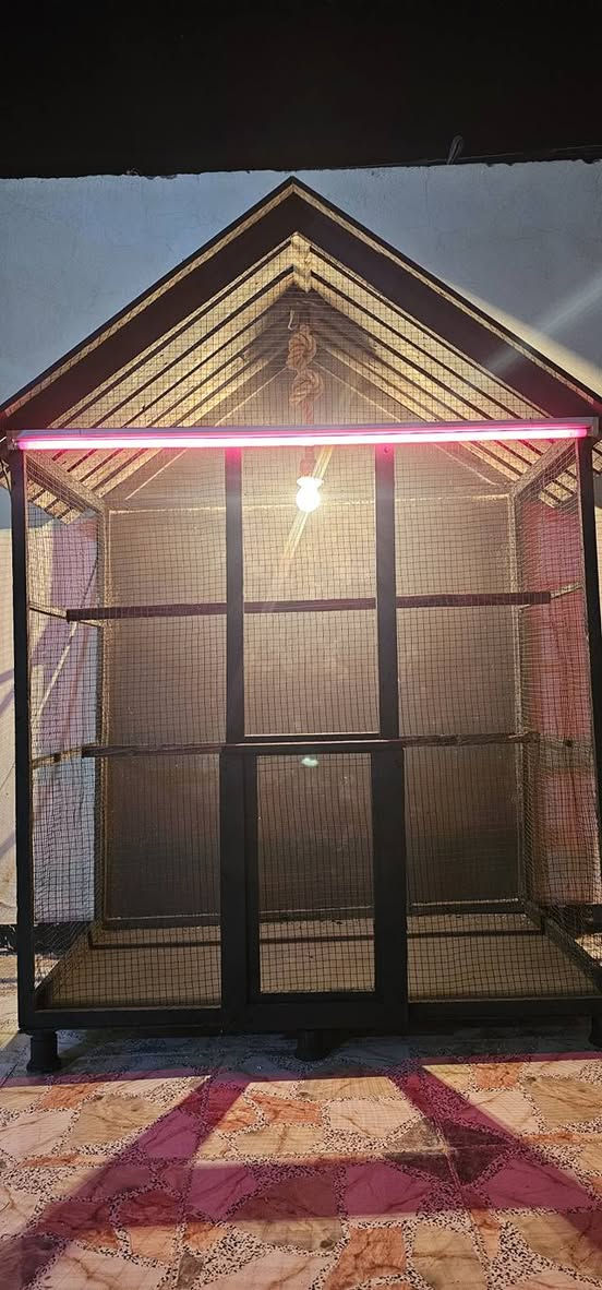 قفص كلش حلو مدخال  بيت باب محال يرهم كلشي قياسه حلو  مكاني نجف توصيل اكو ***********  بس نجف سعره  عل خاص مناسب  اي فصال نشتغل الكم
