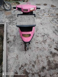 منغولي بزون • شغالة • ١٢٠