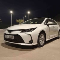 بغداد 07721077452