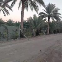 طابو زراعي • دونم • واجهة ٢٥م