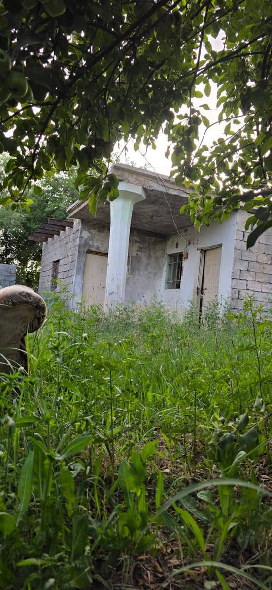 السلام عليكم ورحمة الله وبركاته ​لعشاق الهدوء والاستثمار المضمون؛ بستان متكامل وجاهز للبيع، يجمع بين راحة السكن وإنتاجية الأرض:
المساحة: دونميين بترتيب ونظافة عالية.
​القانونية: سند 25 طابو زراعي (تحويل فوري).
​الخيرات: 100 شجرة مثمرة  تفاح 🍎 ومنتجة (نخيل 🌴، حمضيات 🍋).
​البناء: مشتمل (غرفتين وصالة).
​📞 للتواصل المباشر:
​***********
​***********
​📍 الموقع: واسط - عزيزية _ برينج
السلام عليكم ورحمة الله وبركاته ​لعشاق الهدوء والاستثمار المضمون؛ بستان متكامل وجاهز للبيع، يجمع بين راحة السكن وإنتاجية الأرض:
