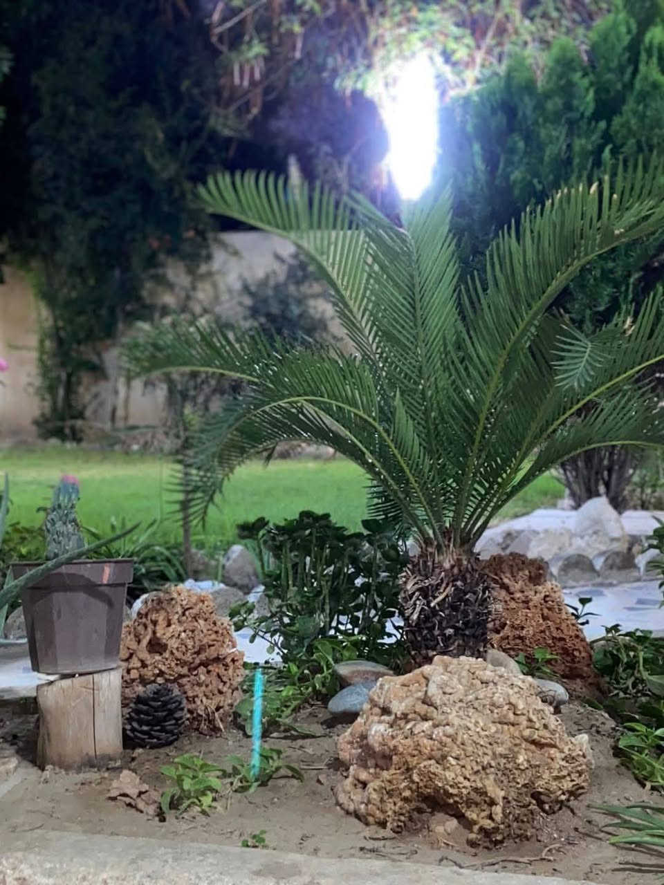 السلام عليكم 

بيت للايجار في حي البكر فرع مركز الشرطه
المساحه 600 متر 
الطابق الارضي فقط 
3غرف واستقبال 
جاهز للسكن 
السعر 550 الف 
للتواصل 
☎️***********☎️
☎️***********☎️
