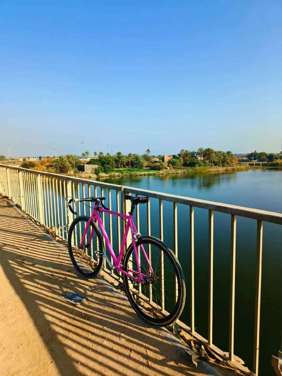 السلام عليكم شباب فكسد صينيه 50-16للبيع الويل الأمامي بي عواج خفيف مكاني كربلاء والبايسكل بغداد بأبو دشير بيش ما جان أبيع لأن عندي سفره وبعد ما احتاجه رقمي ***********
