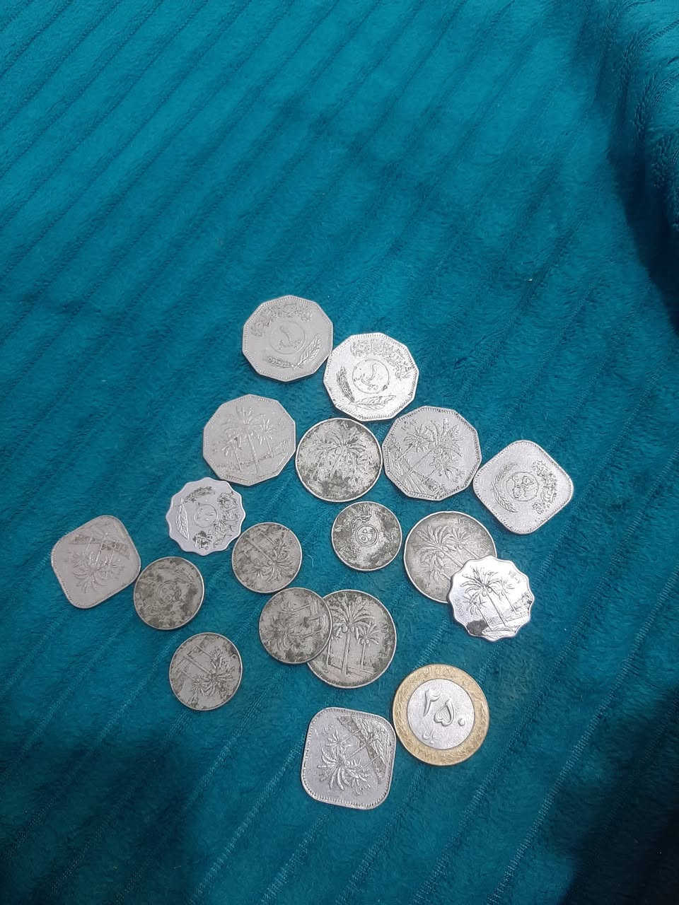 البيع تقيم بل حاظ والبخت ***********
