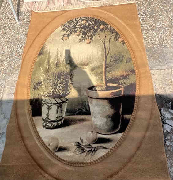 زوليات عدد 2 طول 3 متر وعرض 2 متر اخو الجديدات مكاني حي الجهاد *********** بغداد بغداد
