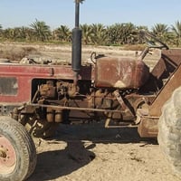 كاروبه • بدون أوراق • السماوه الوركاء