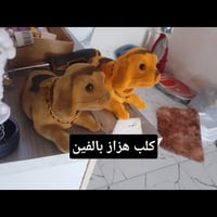 كماليات محمود • تخفيضات • كركوك