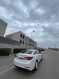 ابيض صدفي • ٢٠١٦ • رقم اربيل