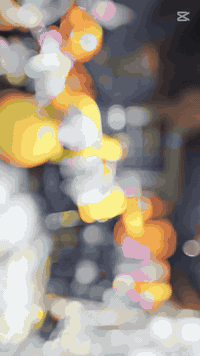 تعلن سكله طلاقاني كافى ايجارات موادالبناء غراض جددانسب السعارانسب السعار اقفاصه دريلات براميل مي درابات خشب اتصل ودلل دريديوصلك يم شغلك حاضر ***********  ***********
