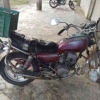 جني للبيع 07805638112