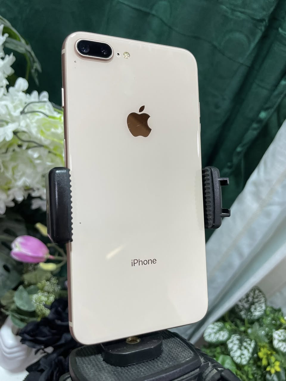 جهاز ايفون 8 بلاص لون كريمي نموذج M\LLA امريكي ذاكره 64 كيكه بطاريه 100 مبدل فقط بطاريه الباقي بلادي شاشه بلادي بصمه شغال كامرات يخبل صوت حلو سيم كارت شغال نضيف حيل الجهاز للبيع او مراوسه سعر 125 الف بي مجال شراي اتصل ***********
