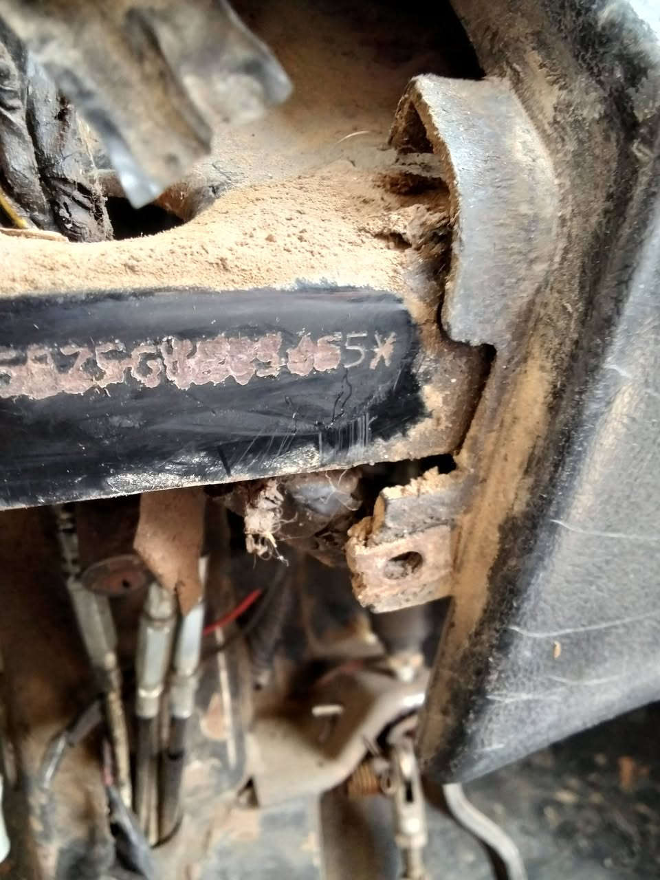 2016 فاتوره بوهيه بلادها السعر 75000 الف جنيه للتواصل 01116055697


**إذا كنت صاحب هذا الإعلان وتريد حذفه لأي سبب، رجاءا أرسل رسالة إلى الدعم الفني**