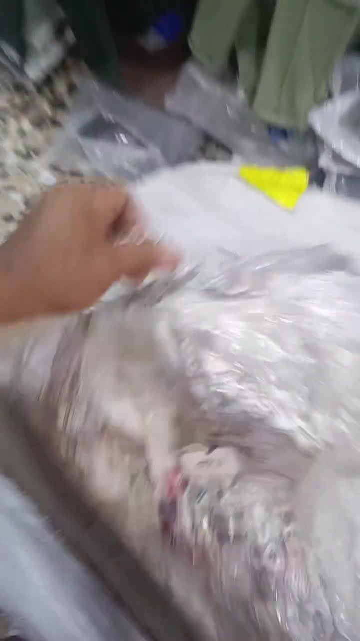 اللهم صل على محمد وال محمد 
ازياء مستر ستايل 🔥💯الجديد يمي   ....بس بسعر ٥ الف دينار  🤐🤔💥💥💥
العنوان شارع الالف قرب شارع الشبكه مقابيل القاعه الرياضيه 
وبجوار المستلزمات الاطفال


**إذا كنت صاحب هذا الإعلان وتريد حذفه لأي سبب، رجاءا أرسل رسالة إلى الدعم الفني**