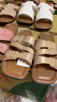 ديالى • شهربان • عروض جديدة