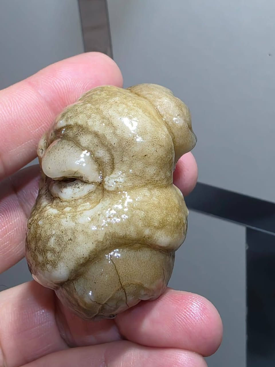 ميحتاج اشرح عنه حجرعطف  مصور رباني وجه كامل رباني مرعب مكشوف مناميا جوكر عام فول نار وشرار الحجر يسولف عنفسه جوكر عام تواصل وباقي تفاصيل خاص او واتساب ***********
