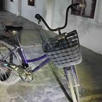 مكاني الرمادي • بايسكل ٢٧ • ياباني