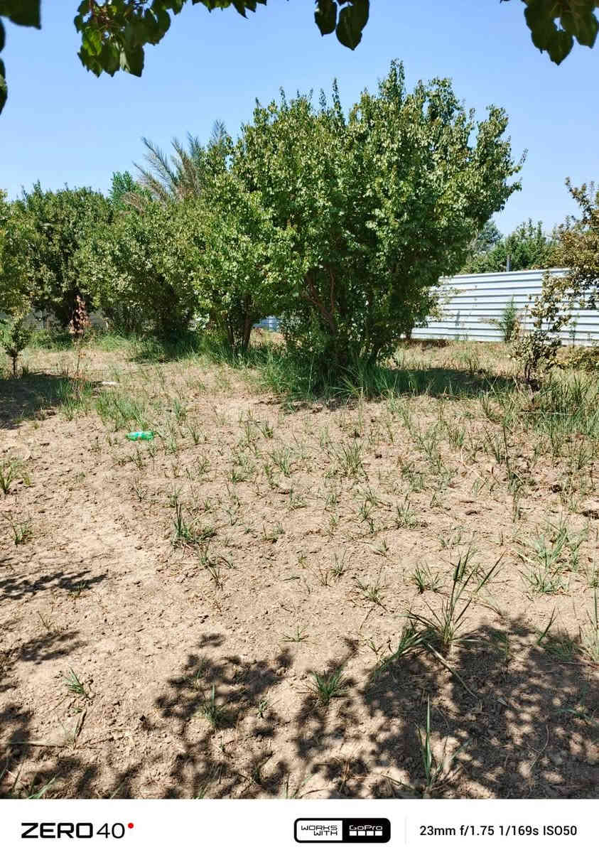 السلام عليكم  الف متر للبيع  السعر 55 وبيها مجال العنوان بغدادالراشديه  الاتصال على الرقم ***********
