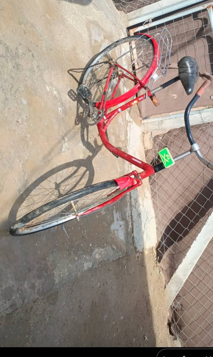 شباب باسكل للبيع في الديوانيه  الخمسه دونم السعر 45الف وابي مجال تجاري الحجم 26  ورقم الهاتف***********
