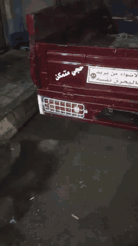 سلام عليكم ستوته مديل 2020 فحل اوراق كامل الستوته خير من الله كلشي شقال بيها كهربائيات شقاله السعر 1500 وبيه مجال قليل ولشراي يتصل ***********بيه خير ودلل تحياتي الكم
