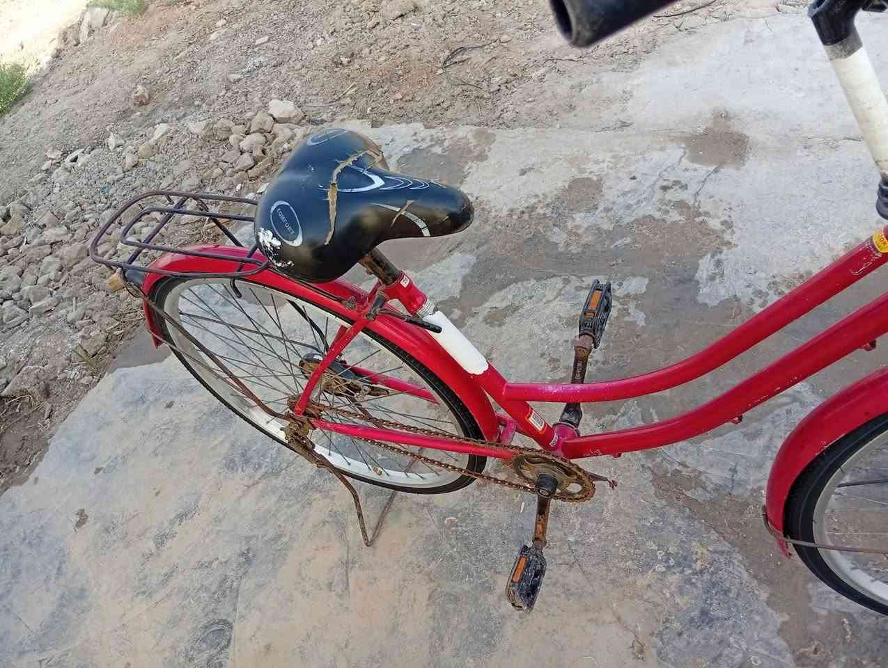 بايسكل للبيع الديوانيه قضاء صينيه السعر 60 بمجال هذا الرقم اتصل على الرقم ***********
