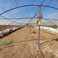 أقواس أردني • ٣٥ متر • بغداد حي ا