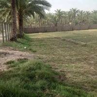 حله محاويل • ٢ دونم • طابو زراعي