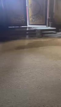 دار للبيع حي تونس افاق عربيه مساحت البيت ١٢٠ ومتكون من مطبخ و٣غرف وحول...