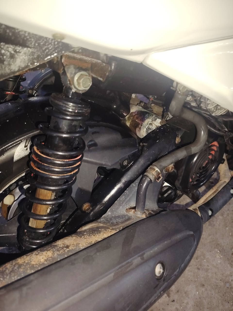 السلام عليكم
سكنس فحل ياباني صار ٣شهر نازلة رمبة
سعر مليون *********** رقمي
دراجة كاملة اي نقص مابيهة
مكينة جديدة طابوكة برغي ما مفتوح بيهة
