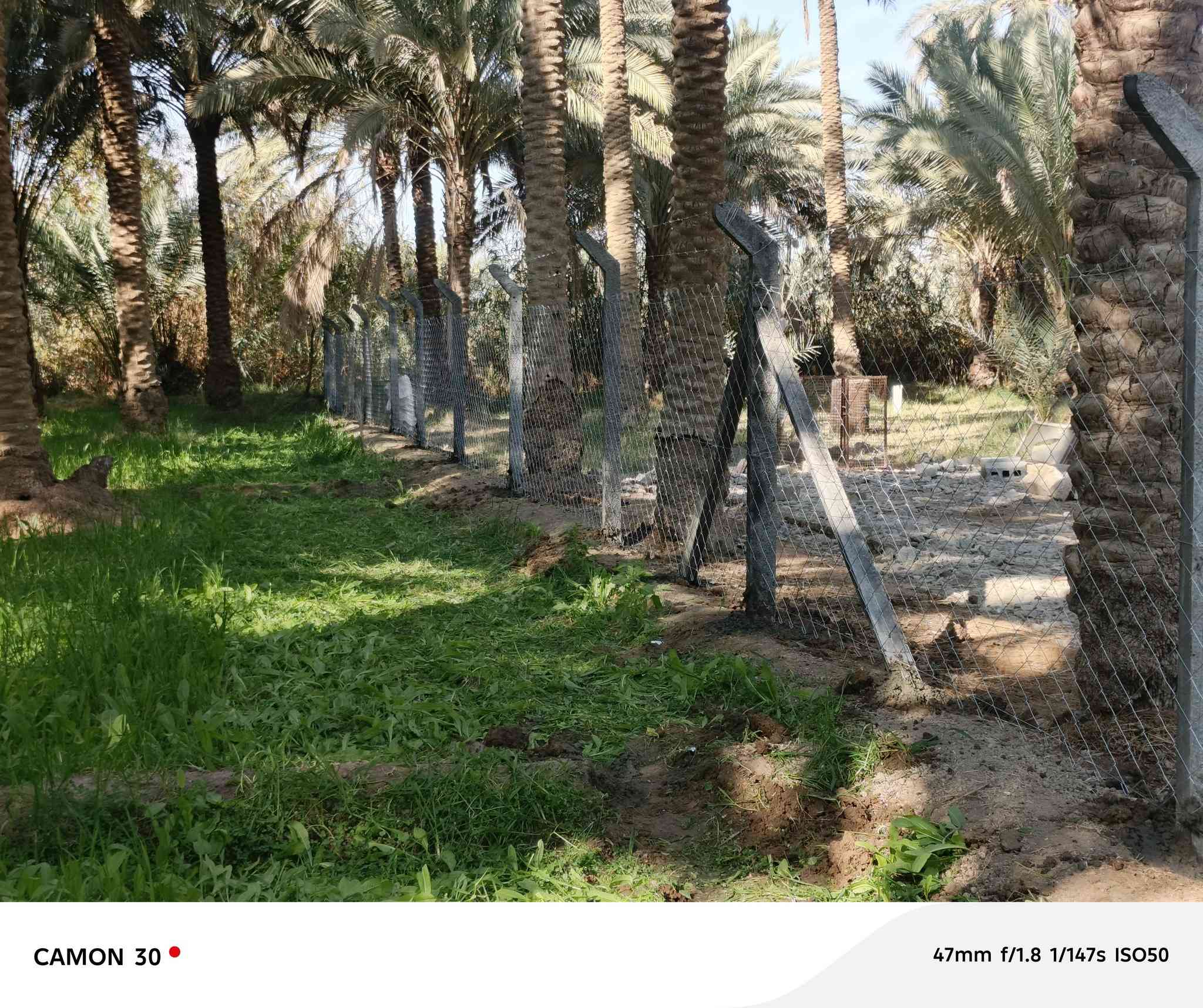 🟣تعلن شركة بابل لاسيجة البيارسي ⁦🟣
🔻عن عمل ونصب جميع انواع اسيجة الBRC ⁦⛏️⁩
🔻وعن عمل جميع انواع الاسيجة العشبية الجميلة 🍀🍀
🔻سعر المتر من 6الف 💸الى 10الف 💸حسب الطلب وحسب نوع السيم ⁦⚒️⁩
🔻يوجد كادر مختص بالعمل 💪
🔻نعمل في كافة محافظات العراق 🚛⁦🚛
🔻للطلب او الاستفسار قم بمراسلة الصفحه او اتصل على الارقام ⁦⬇️⁩
***********
كروب عمل بيارسي سعار مناسبه
