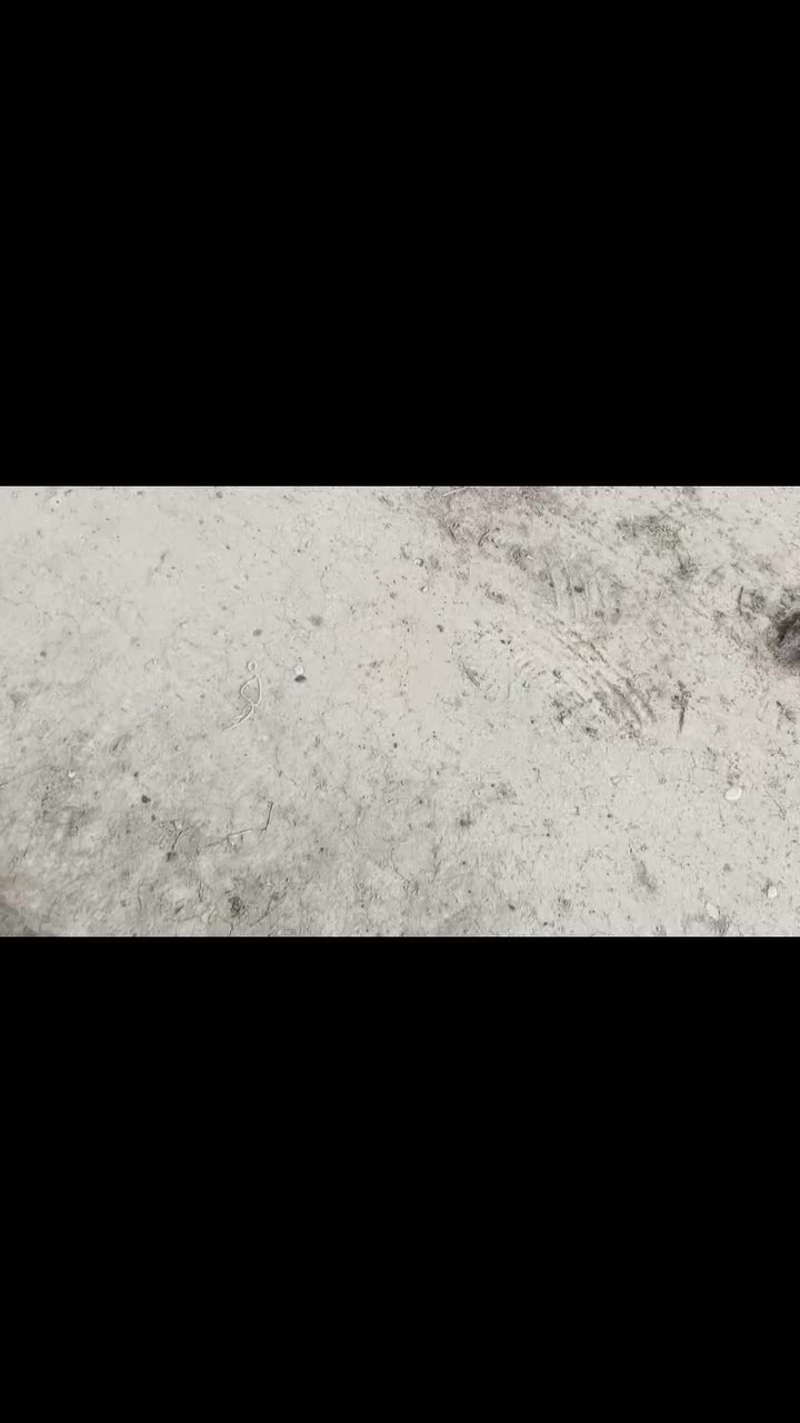 بسم الله الرحمن الرحيم
السلام عليكم ورحمة الله وبركاته 
يوجد لدينا بيت المساحه 1750 ملك صرف سند25
منطقه الجلاعطه الفحامه جزيره بغداد السياحيه 
تحويل باسم المشتري طابو الاعظميه السعر ع الخاص 
اخوكم محمد النداوي  رقم الهاتف   ***********
