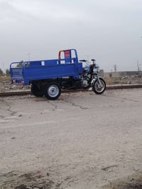 ستوته • بصمه • دشبول