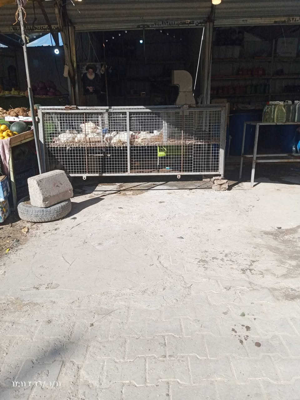 محل دجاج لبيع مكان كربلاء سوق حي العسكري العبد سعره 3 مليون رقم ***********
