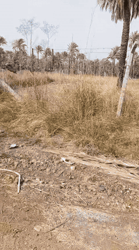 دونم للبيع منطقه الفحامه قرب جزيره بغداد السياحيه خدمات  كامله الواجهه...